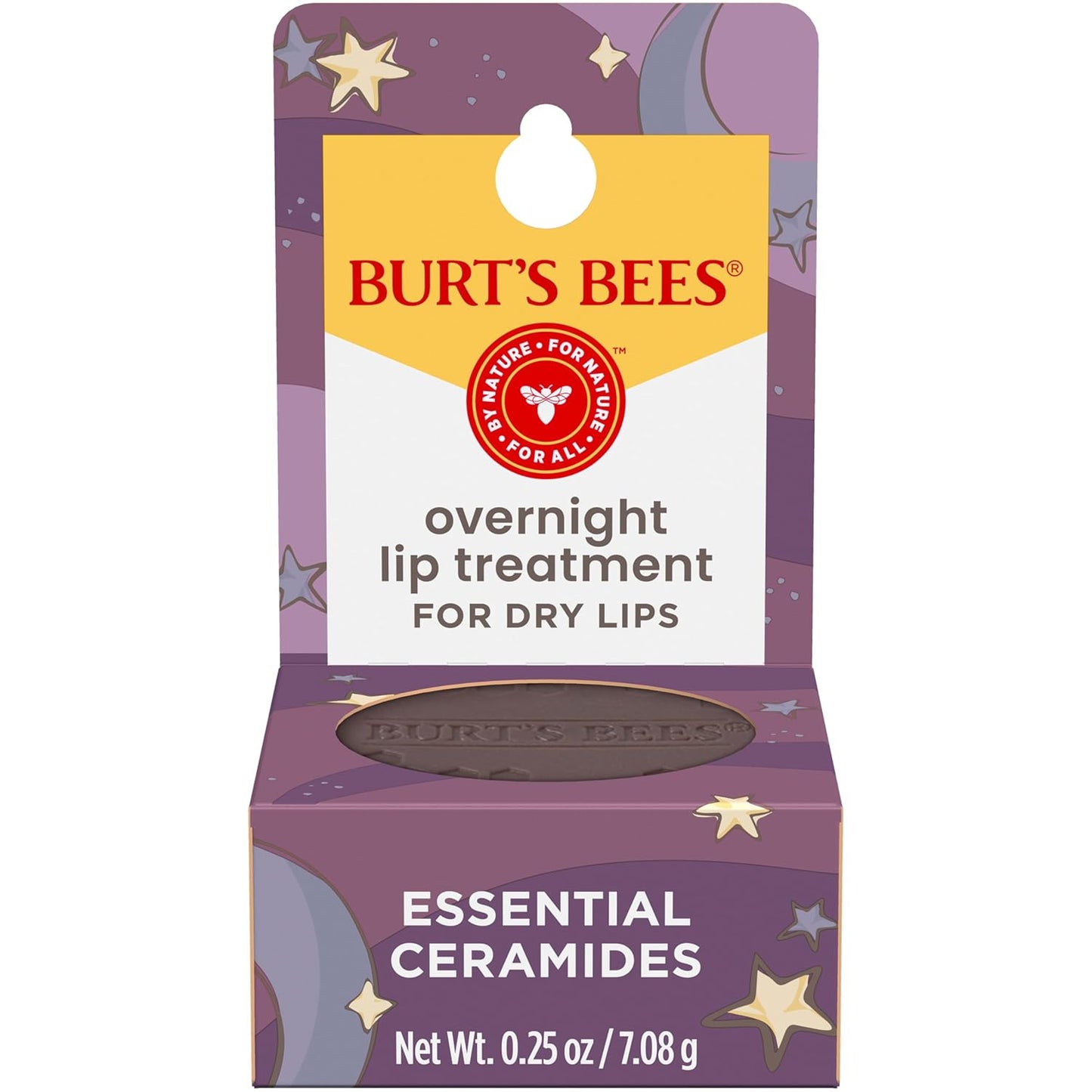 Burt's Bees Overnight Intensive Lip Treatment